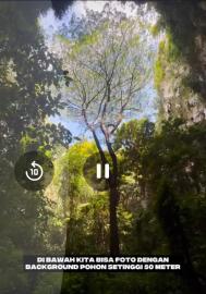 BEDOYO PUNYA WISATA BARU....VERTICAL CAVE JOMBLANGAN